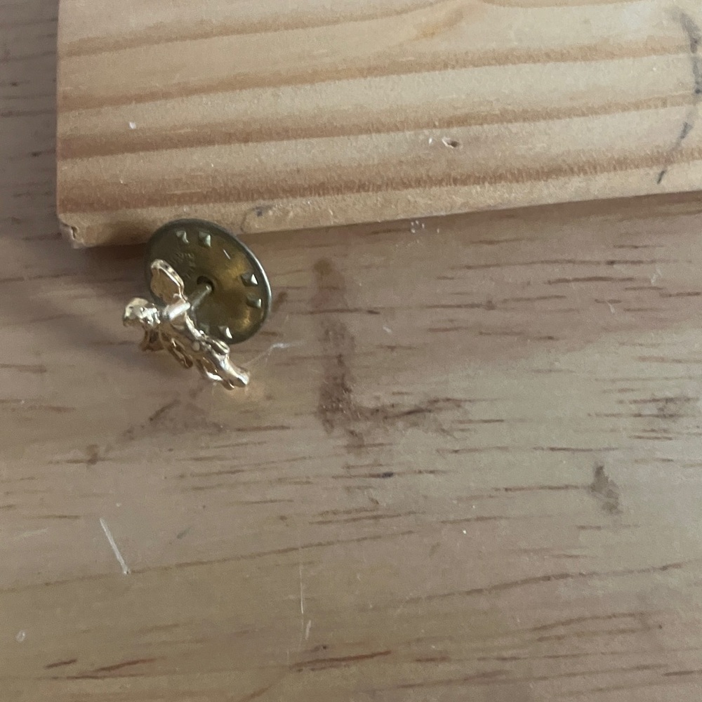 Gold Angel Pin